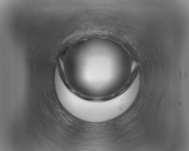 X0000074261492200609011329