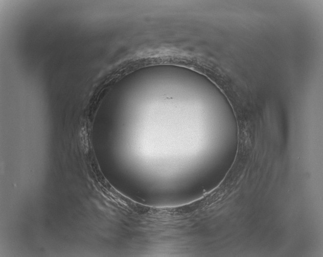 X0000074261493200609011329