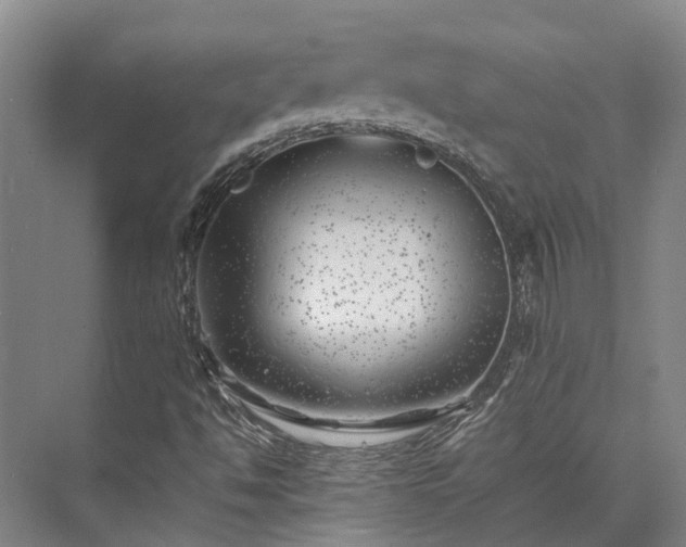 X0000074261494200609011329