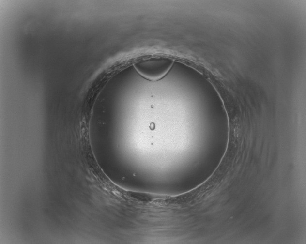 X0000074261495200609011329