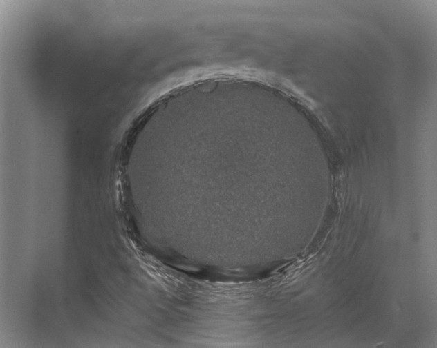 X0000074261496200609011329