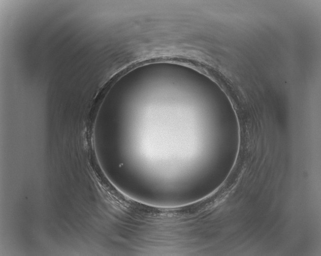 X0000074261497200609011329