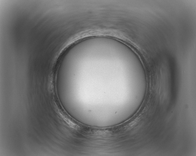 X0000074261498200609011329