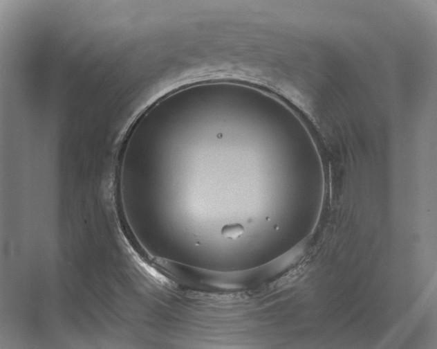 X0000074261500200609011329