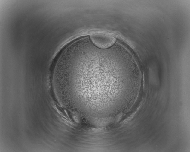 X0000074261501200609011329