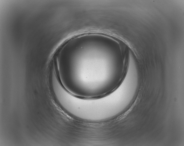 X0000074261502200609011329