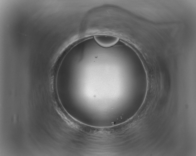 X0000074261503200609011329