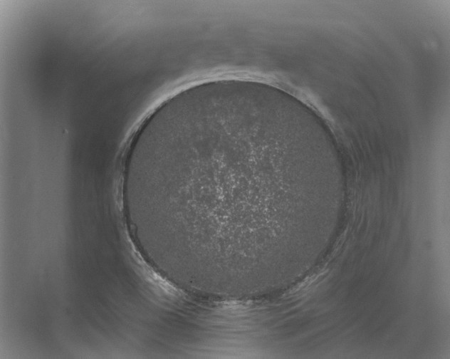 X0000074261504200609011329