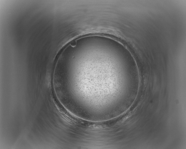 X0000074261505200609011329