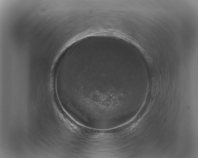 X0000074261506200609011329