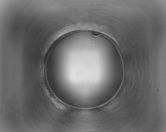 X0000074261507200609011329