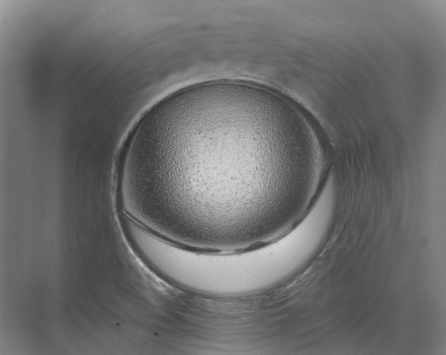 X0000074261508200609011329