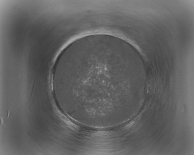 X0000074261510200609011329