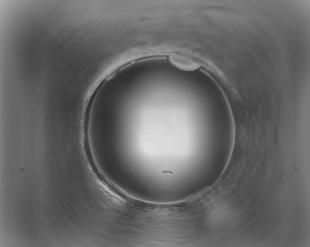 X0000074261512200609011329