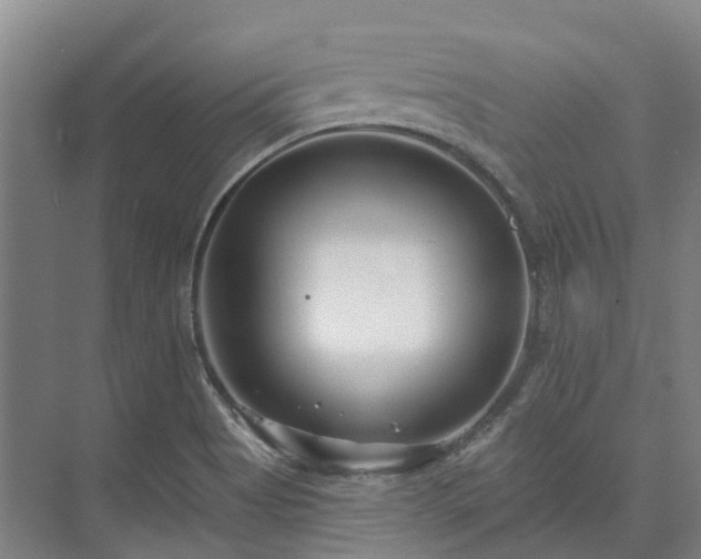 X0000074261513200609011329