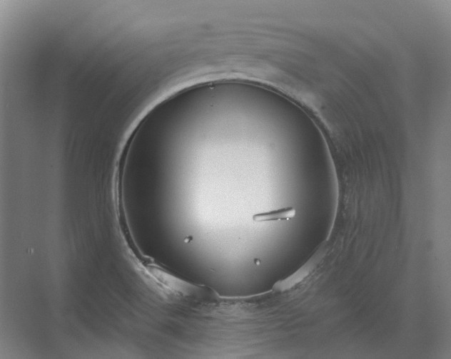 X0000074261516200609011329