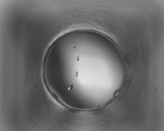 X0000074261518200609011329