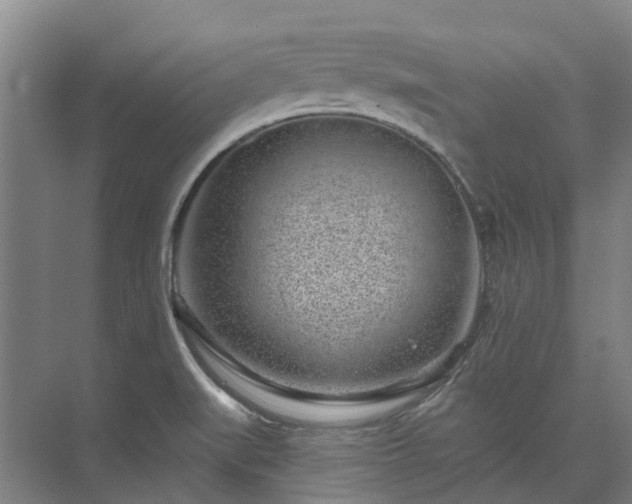 X0000074261519200609011329