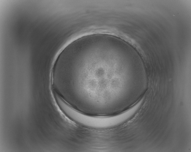 X0000074261520200609011329