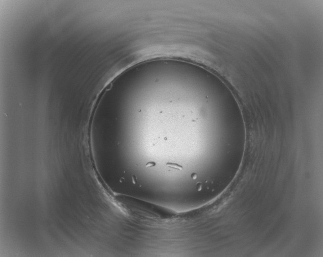 X0000074261521200609011329