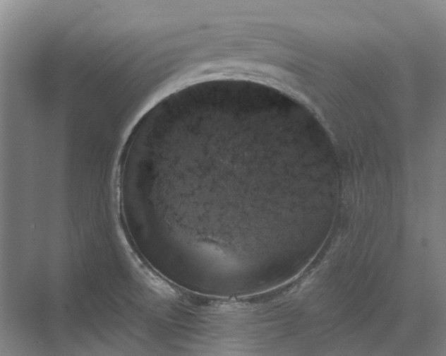 X0000074261522200609011329