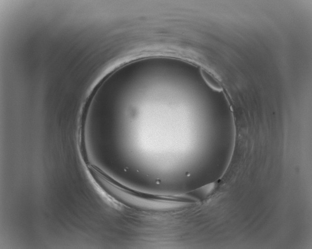 X0000074261523200609011329