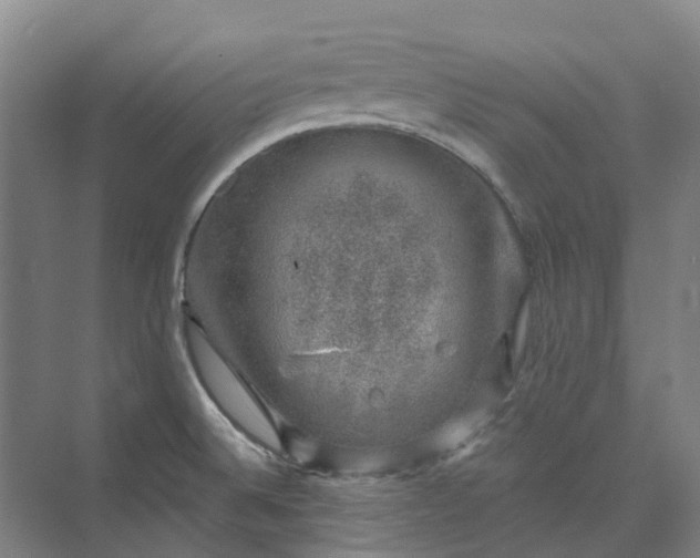 X0000074261524200609011329