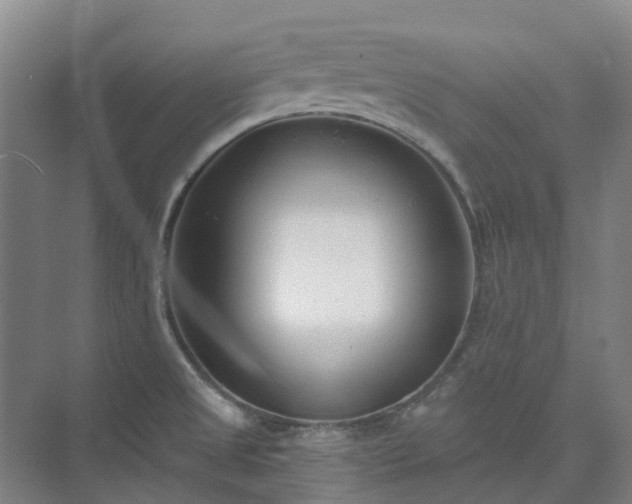 X0000074261525200609011329