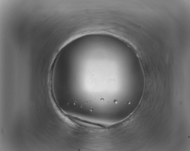 X0000074261526200609011329