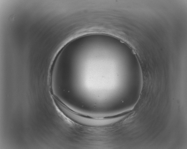 X0000074261527200609011329