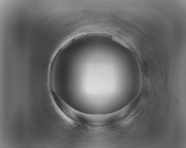 X0000074261528200609011329