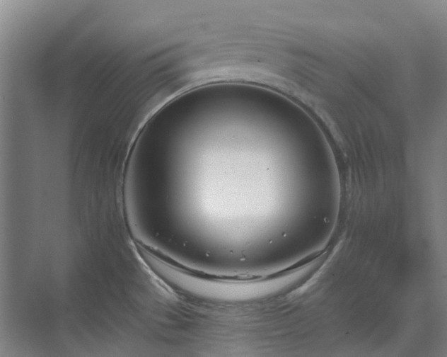 X0000074261529200609011329