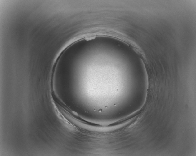 X0000074261530200609011329