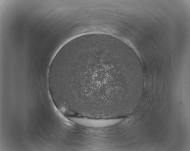 X0000074261532200609011329