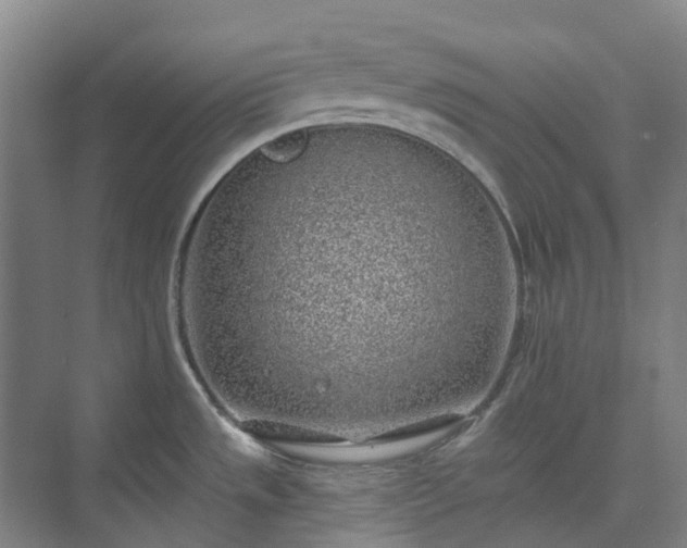 X0000074261533200609011329