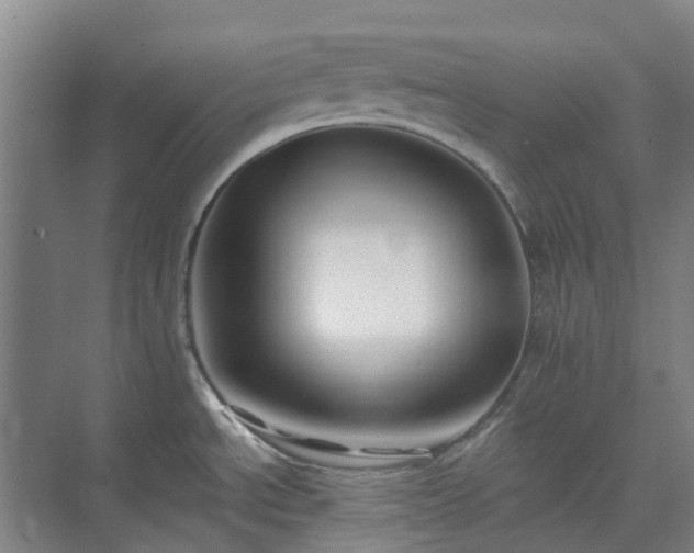 X0000074261534200609011329