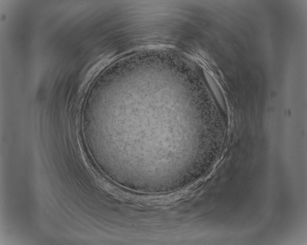 X0000074260001200609081748