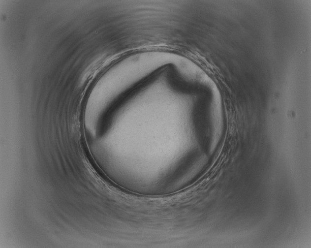 X0000074260002200609081748