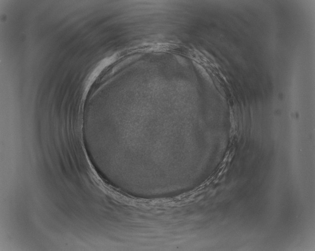 X0000074260003200609081748