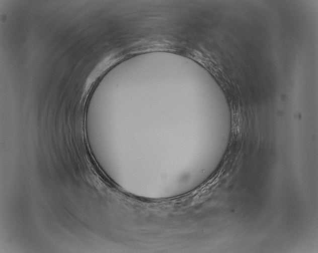 X0000074260004200609081748