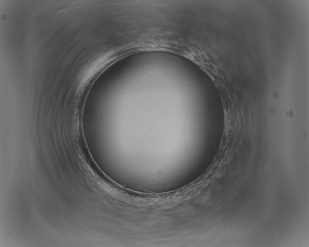 X0000074260005200609081748