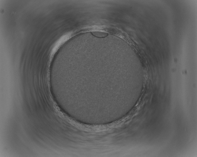 X0000074260006200609081748