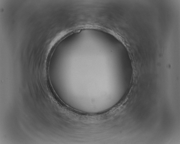 X0000074260008200609081748