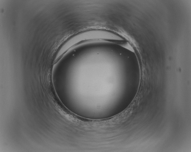 X0000074260009200609081748