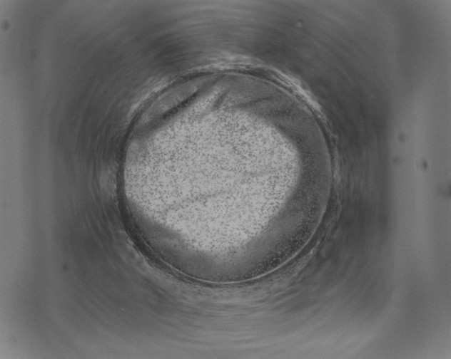 X0000074260010200609081748