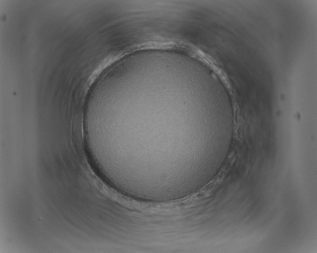 X0000074260011200609081747