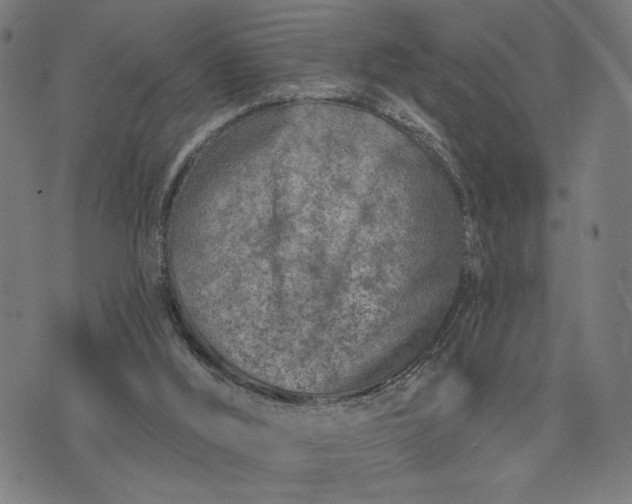 X0000074260012200609081747