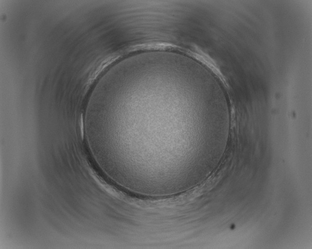 X0000074260013200609081747