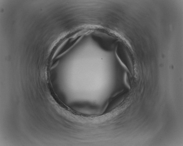 X0000074260015200609081747