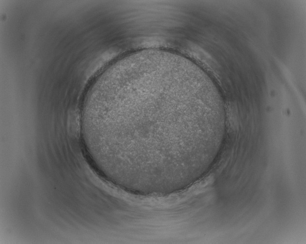 X0000074260016200609081747